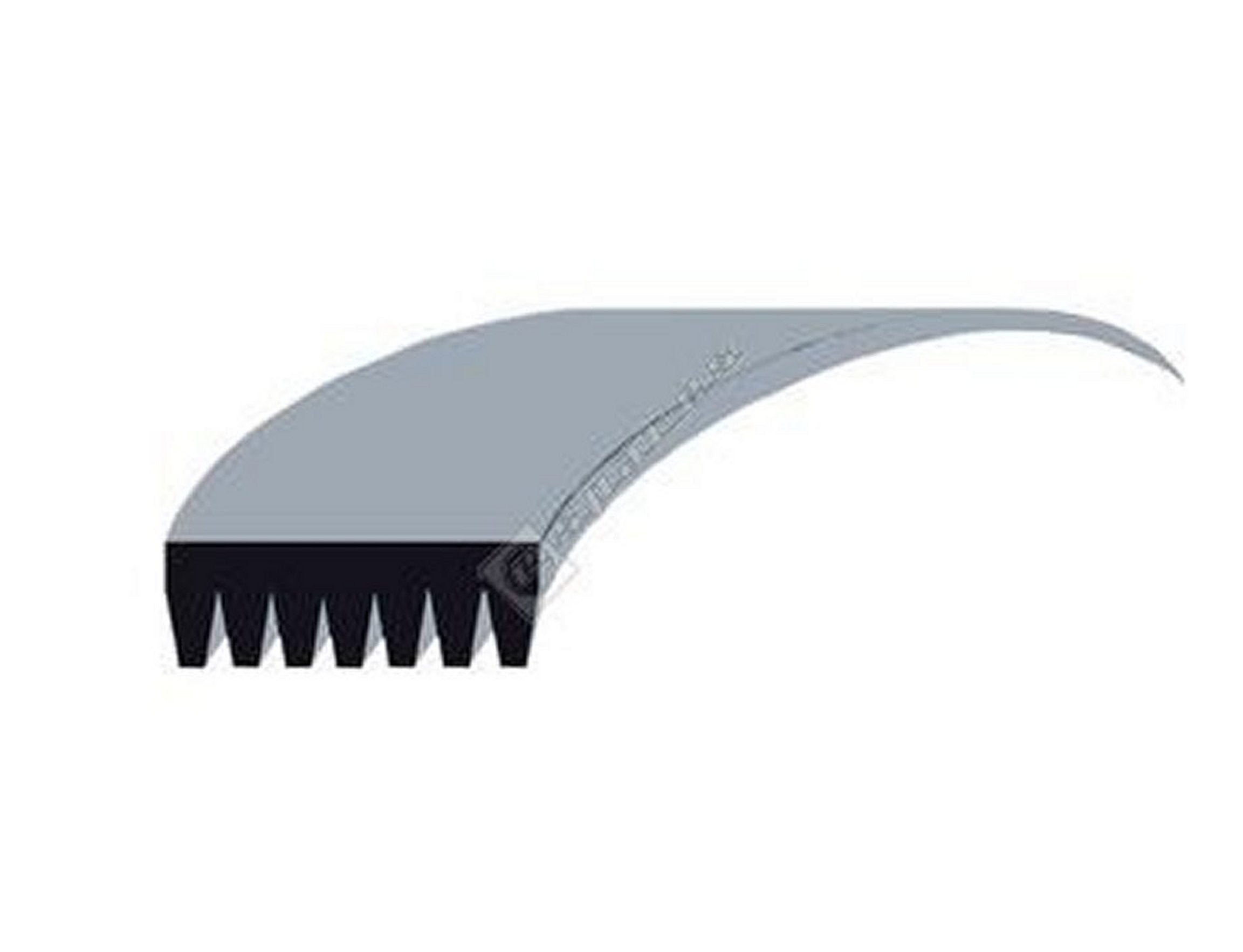 High - Quality Replacement Drum Belt 1915H7 (Part # POL28) for Hotpoint, Creda, Electra, Indesit, Pye, and Euromaid Appliances